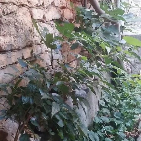 Arina Dom wakacyjny Medulin